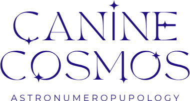 Canine Cosmos — Astronumeropupology